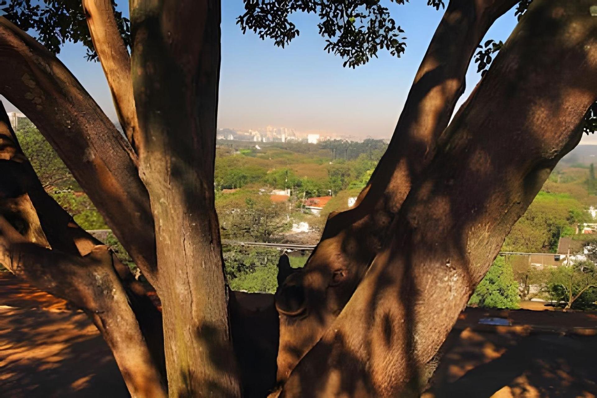 Garden Panoramico Premium Apartamento São Paulo
